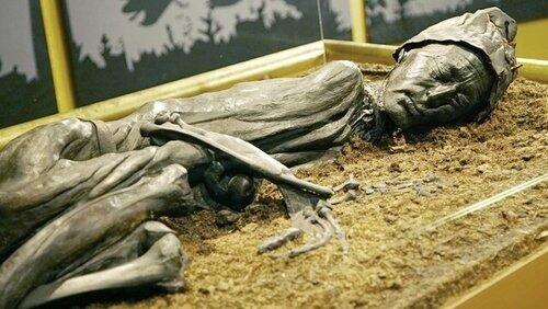 Bog Bodies Bog Bodies