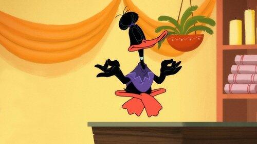 Downward Duck Downward Duck