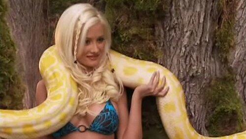 Calendar Girls Calendar Girls