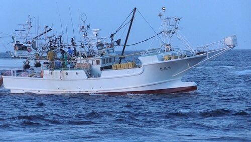 No Going Back: New Ideas from a Tsunami-hit Fishing Town No Going Back: New Ideas from a Tsunami-hit Fishing Town