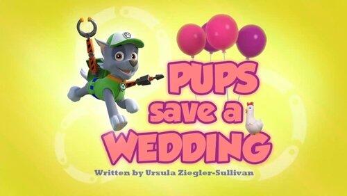 Pups Save an Ace Pups Save an Ace