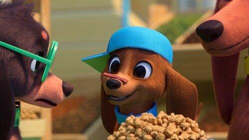 Pup to the Races Pup to the Races