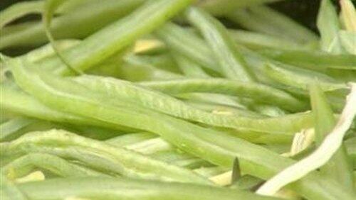 Beans Beans