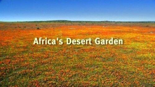 Africa's Desert Garden Africa's Desert Garden