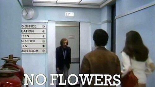 No Flowers by Request No Flowers by Request