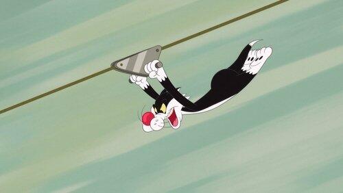Telephone Pole Gag: Zip Line Telephone Pole Gag: Zip Line