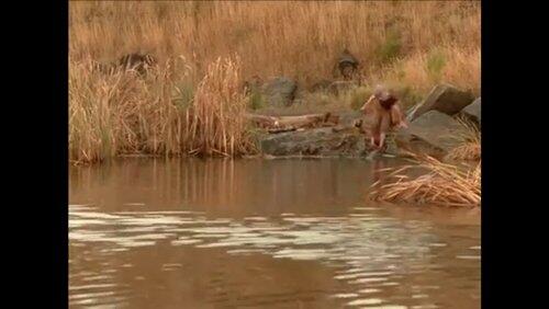 Is Noah Banished? Is Noah Banished?