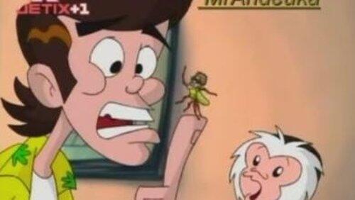Beware the Fly Beware the Fly