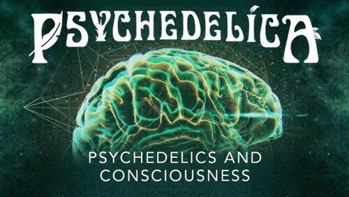 Psychedelics and Consciousness Psychedelics and Consciousness