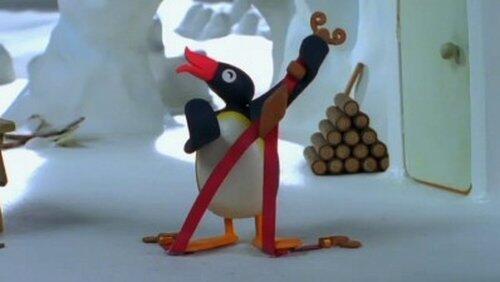 Pingu and the Braces Pingu and the Braces