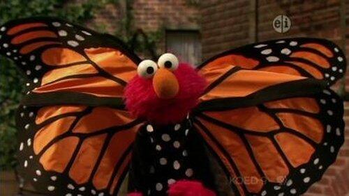 Elmo and the Monarch Butterfly Elmo and the Monarch Butterfly