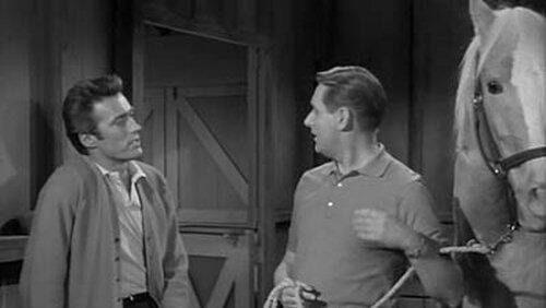 Clint Eastwood Meets Mister Ed Clint Eastwood Meets Mister Ed