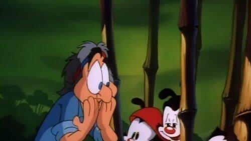 Wakko's America Wakko's America