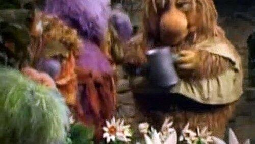 The Invasion of the Toe Ticklers The Invasion of the Toe Ticklers