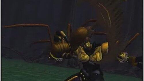 Proving Grounds