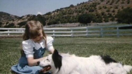 Man's Best Friend (1) Man's Best Friend (1)