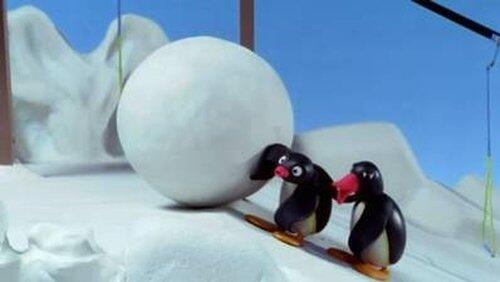 Pingu and the Snowball Pingu and the Snowball