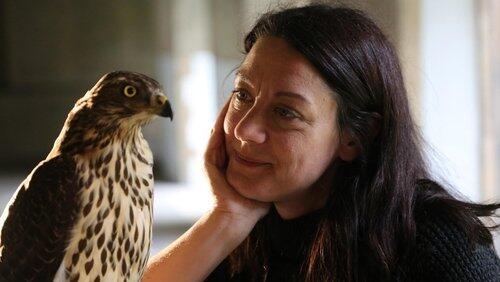 H Is for Hawk: A New Chapter H Is for Hawk: A New Chapter