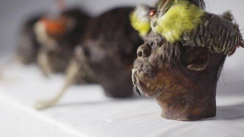 Shrunken Heads Shrunken Heads
