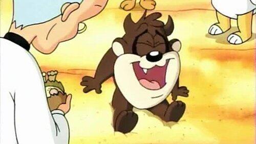 Taz You Like It Taz You Like It