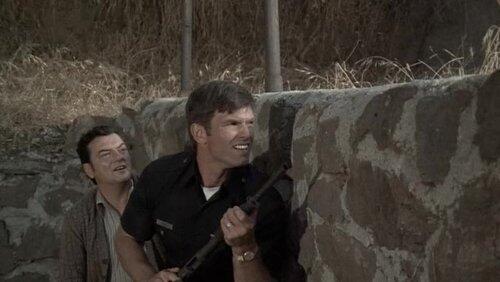 Ambush Ambush