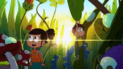The Insects The Insects