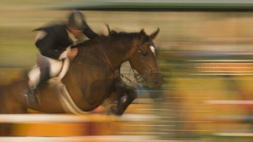 Horse and Rider Horse and Rider