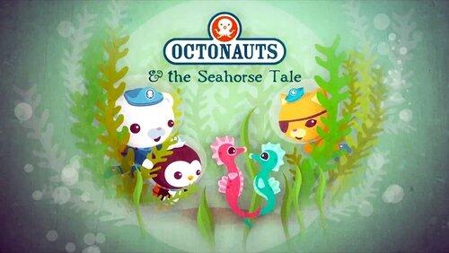 The Seahorse Tale The Seahorse Tale