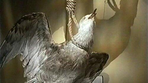 The Ghost of WENN The Ghost of WENN