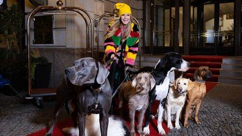 Fashion Divas, Roller Girls und Nacktwalk Fashion Divas, Roller Girls und Nacktwalk
