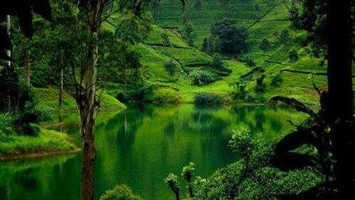 Sri Lanka: Monsoon Island Sri Lanka: Monsoon Island