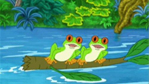 Rescue the Red-Eyed Tree Frogs!