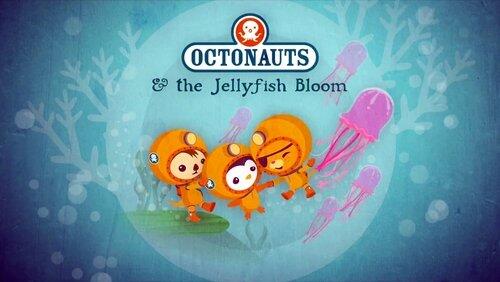 The Jellyfish Bloom The Jellyfish Bloom