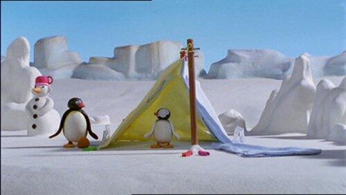 Pingu and Pinga Go Camping Pingu and Pinga Go Camping