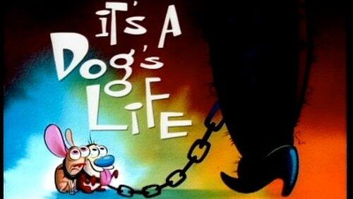 It's a Dog's Life It's a Dog's Life