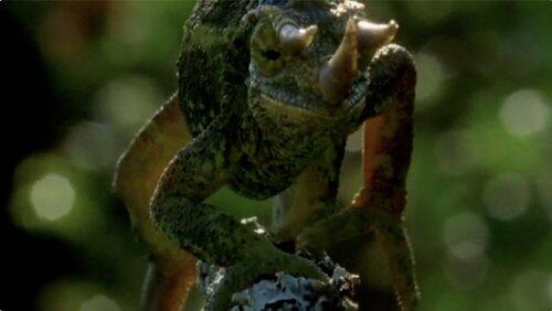 Smart Reptiles Smart Reptiles