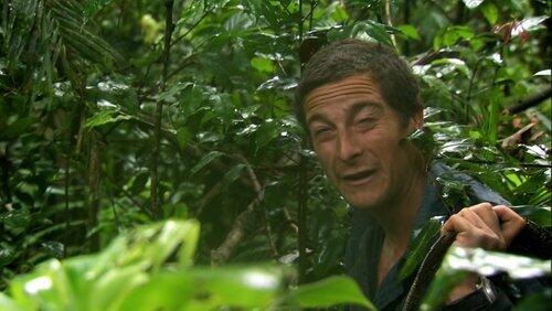 Ring of Fire: Jungle Swamp (1) Ring of Fire: Jungle Swamp (1)