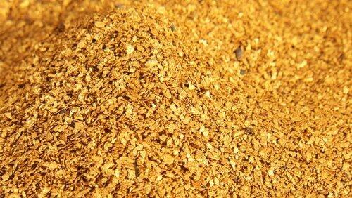 Gold Fever! Gold Fever!