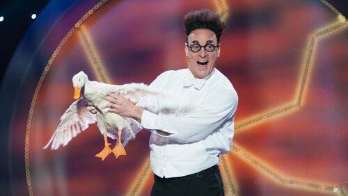 Jet Engines, Magic Ducks and Missing Torsos Jet Engines, Magic Ducks and Missing Torsos