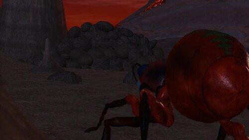 Spider's Game Spider's Game