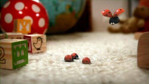 ladybugland ladybugland