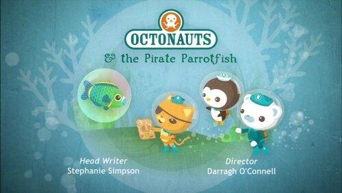 The Pirate Parrotfish The Pirate Parrotfish