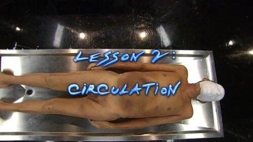 Circulation Circulation