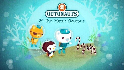 The Mimic Octopus The Mimic Octopus