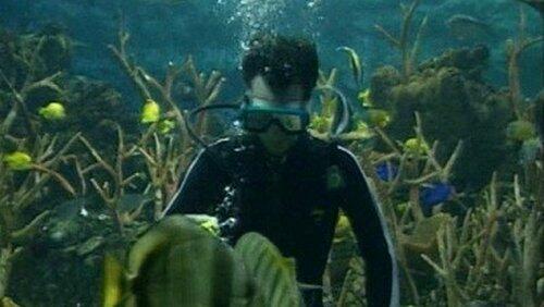 Fish Fish