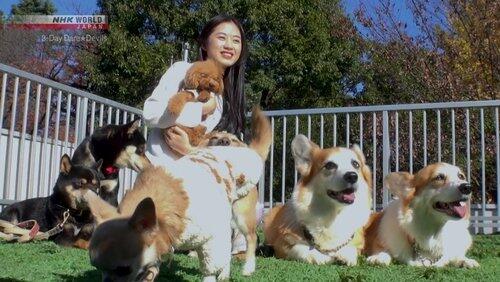 Dog Training Today Keeps the Vet Away Dog Training Today Keeps the Vet Away
