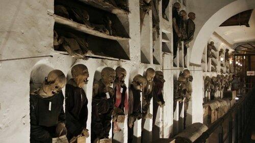 The Mystery and Cults of Mummies The Mystery and Cults of Mummies