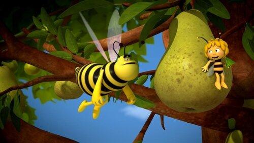 Thank You Wasps Thank You Wasps