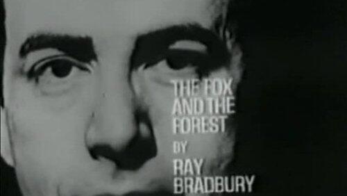 The Fox and the Forest The Fox and the Forest