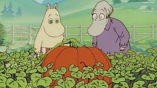 The Giant Pumpkin The Giant Pumpkin